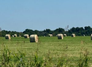 Property photo for land for sale in Garvin County Oklahoma