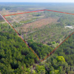Property photo for land for sale in Alachua County Florida