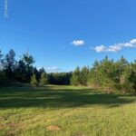 Property photo for land for sale in Amite County Mississippi