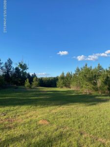 Property photo for land for sale in Amite County Mississippi