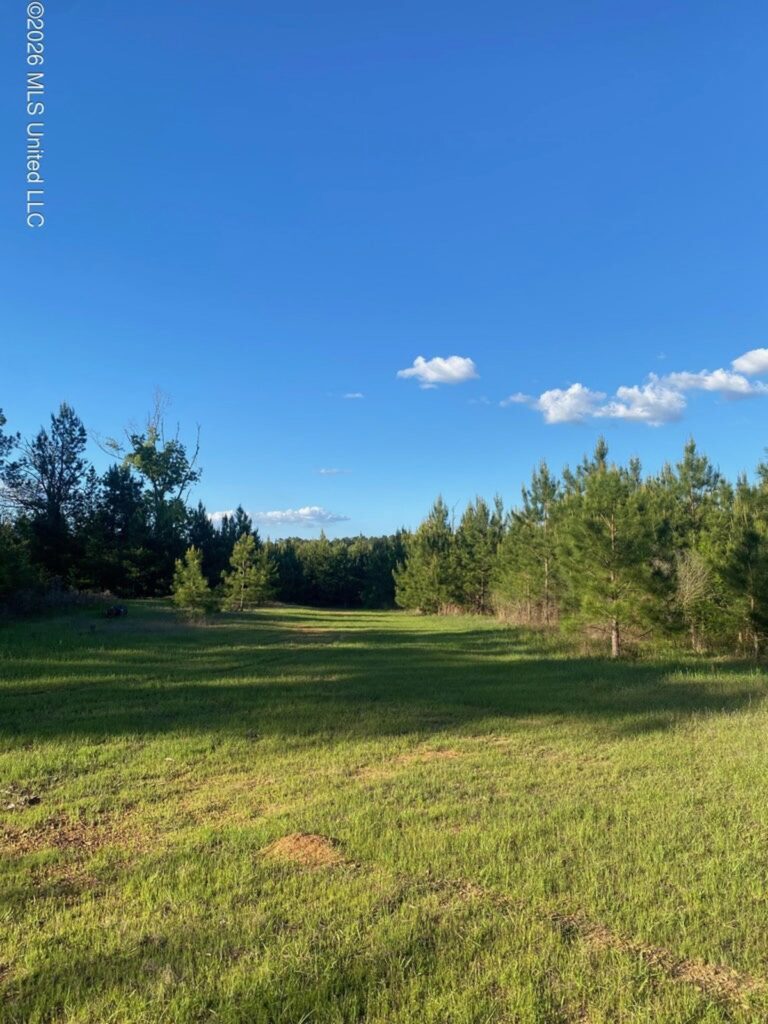 Property photo for land for sale in Amite County Mississippi