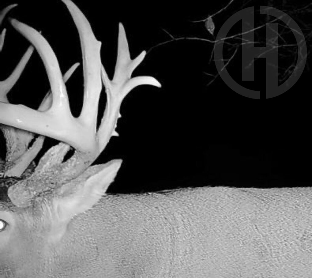 Property photo for land for sale in Franklin County Kansas