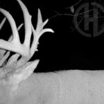 Property photo for land for sale in Franklin County Kansas