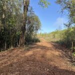 Property photo for land for sale in Geneva County Alabama