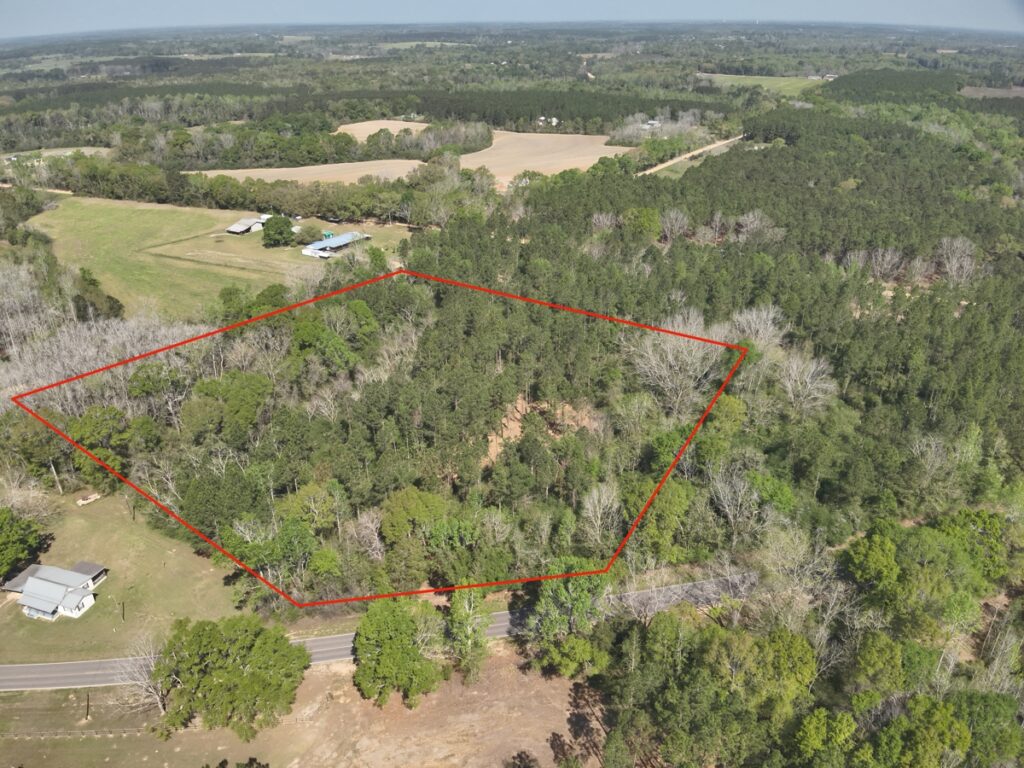 Property photo for land for sale in Geneva County Alabama