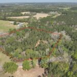Property photo for land for sale in Geneva County Alabama