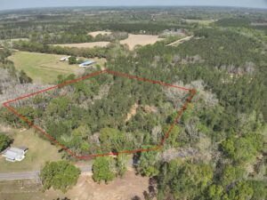 Property photo for land for sale in Geneva County Alabama