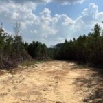 Property photo for land for sale in Madison County Mississippi