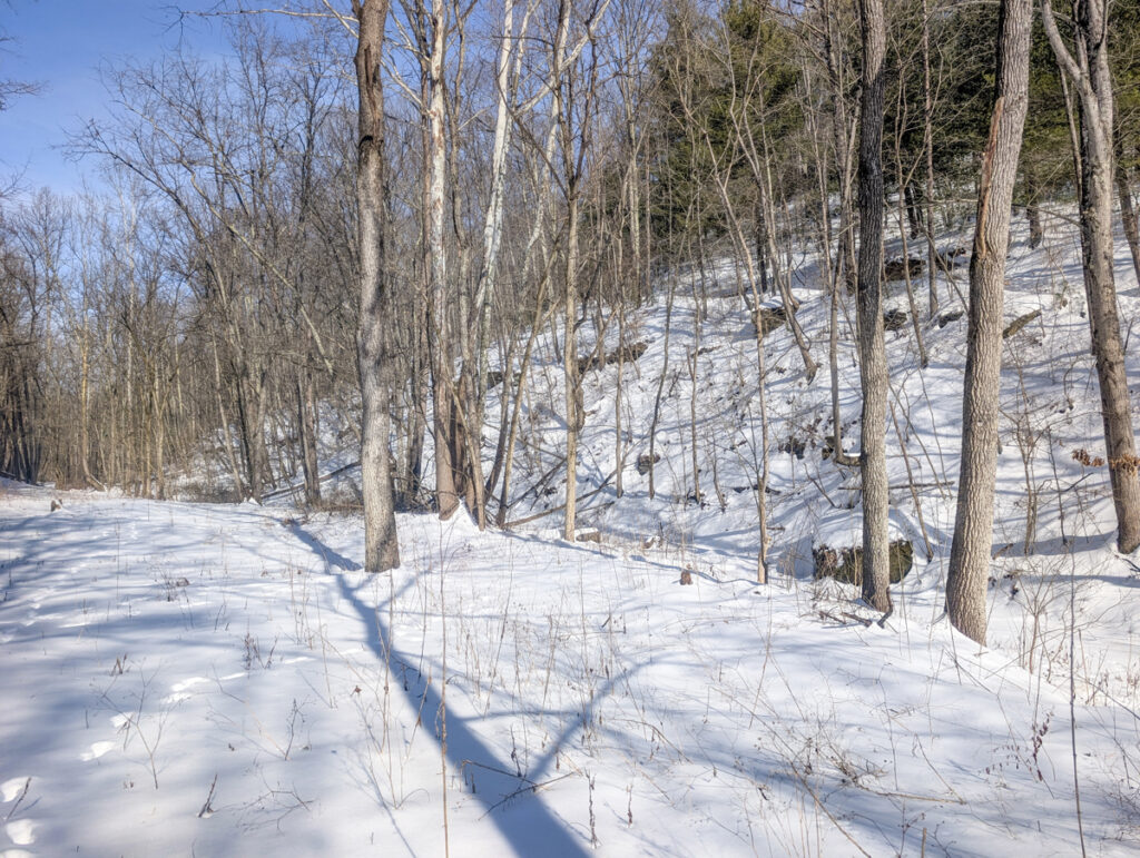 Property photo for land for sale in Belmont County Ohio