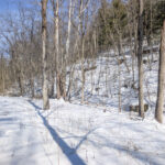 Property photo for land for sale in Belmont County Ohio