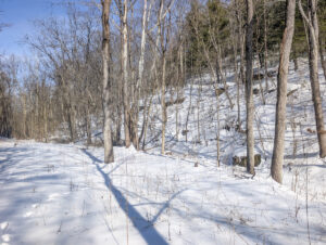 Property photo for land for sale in Belmont County Ohio