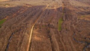 Property photo for land for sale in Tensas County Louisiana