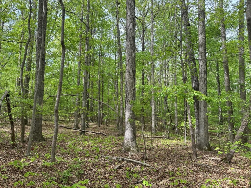 Property photo for land for sale in Mecklenburg County Virginia