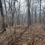 Property photo for land for sale in Searcy County Arkansas
