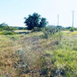 Property photo for land for sale in Brown County Texas