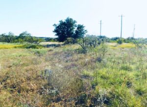 Property photo for land for sale in Brown County Texas