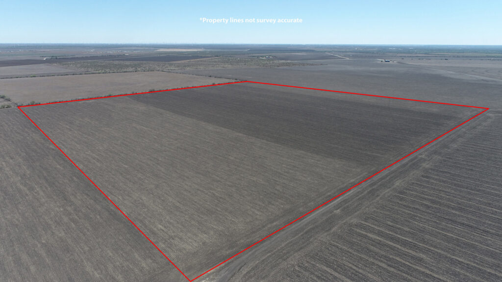 Property photo for land for sale in Bee County Texas