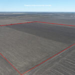 Property photo for land for sale in Bee County Texas