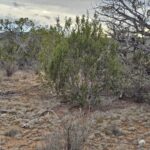 Property photo for land for sale in Yavapai County Arizona