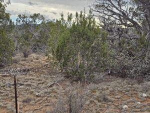 Property photo for land for sale in Yavapai County Arizona
