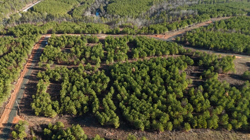 Property photo for land for sale in Pushmataha County Oklahoma