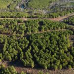 Property photo for land for sale in Pushmataha County Oklahoma