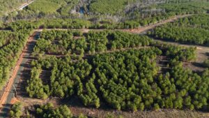 Property photo for land for sale in Pushmataha County Oklahoma