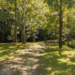 Property photo for land for sale in Grainger County Tennessee
