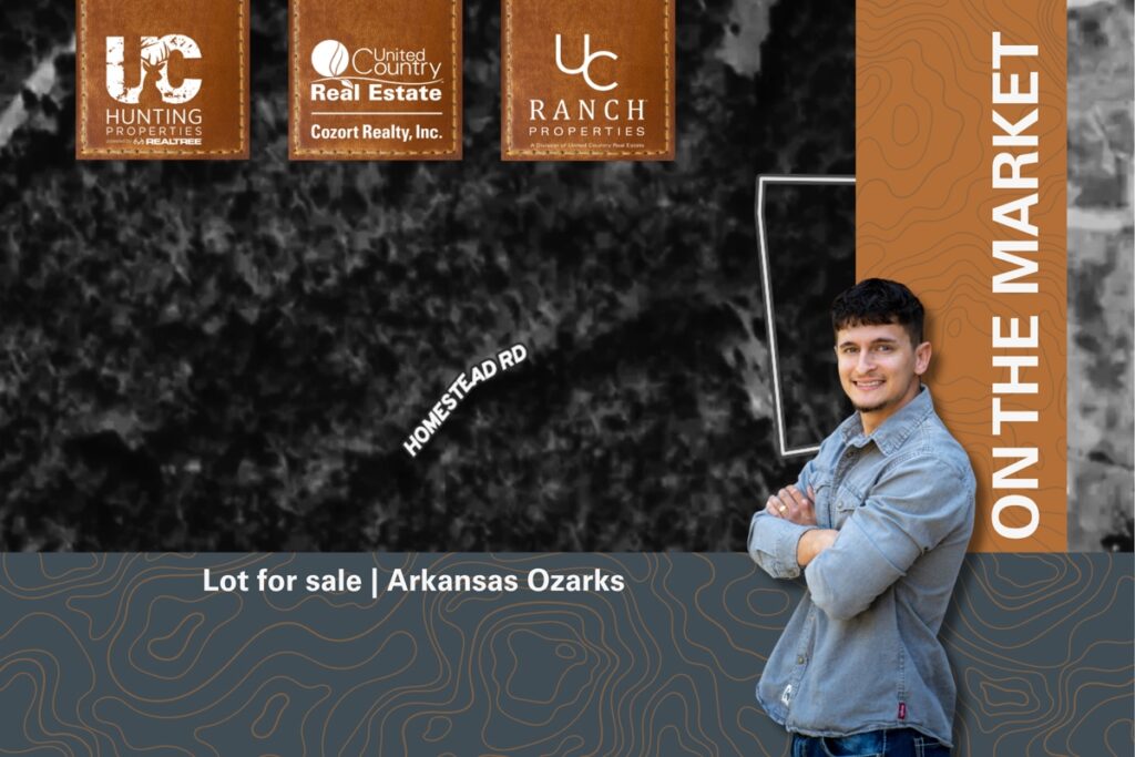 Property photo for land for sale in Baxter County Arkansas