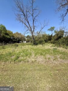 Property photo for land for sale in Mitchell County Georgia