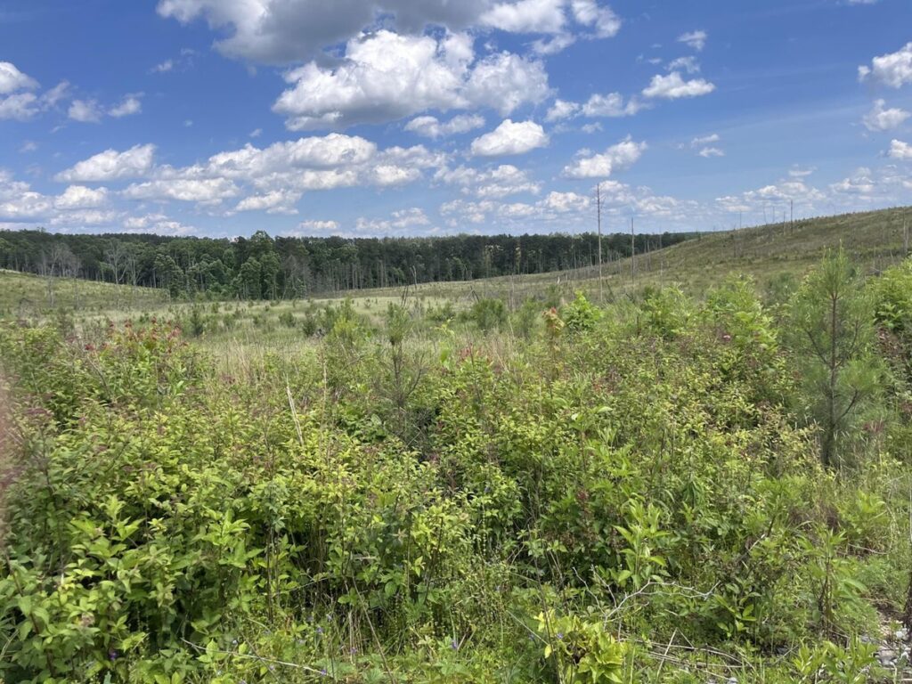 Property photo for land for sale in Sequatchie County Tennessee