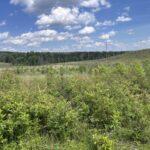 Property photo for land for sale in Sequatchie County Tennessee