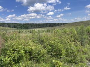 Property photo for land for sale in Sequatchie County Tennessee