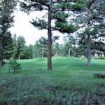 Property photo for land for sale in Larimer County Colorado