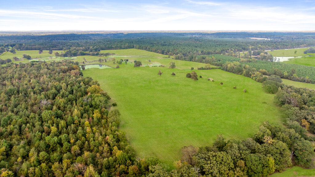 Property photo for land for sale in Bowie County Texas