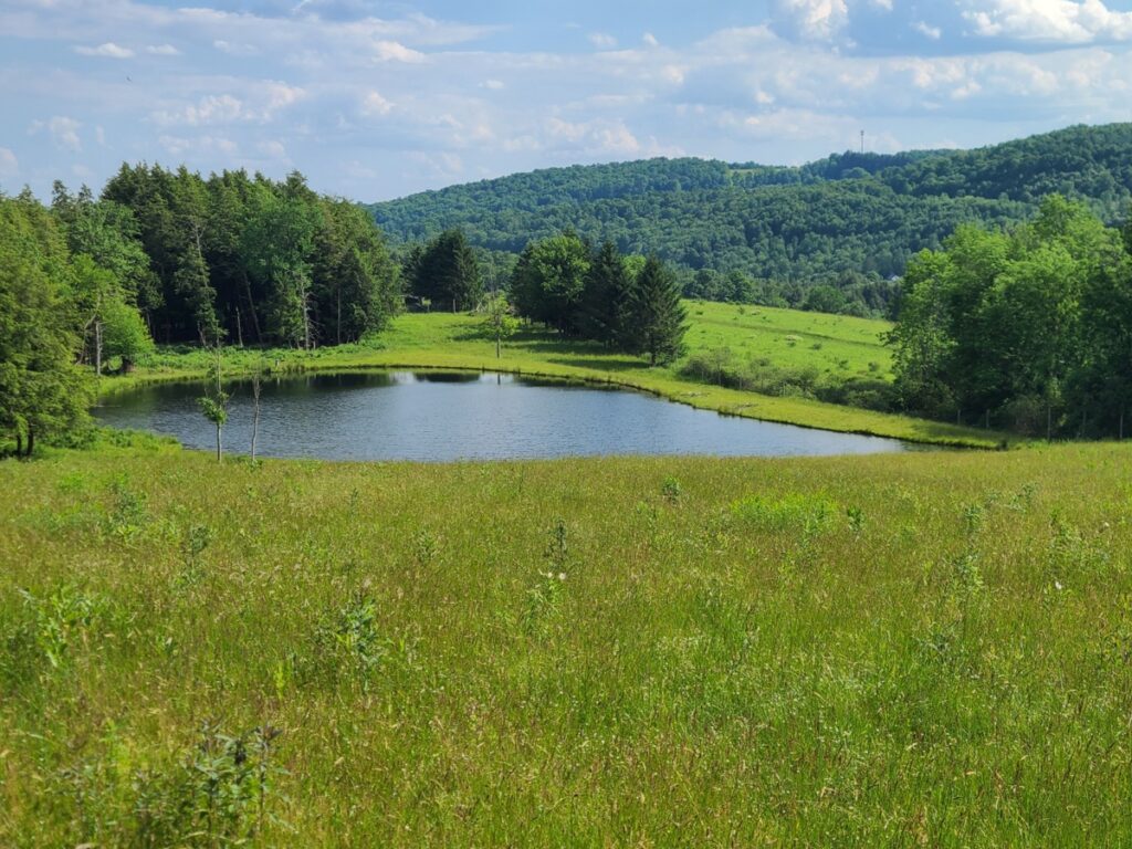 Property photo for land for sale in Chenango County New York