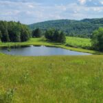 Property photo for land for sale in Chenango County New York