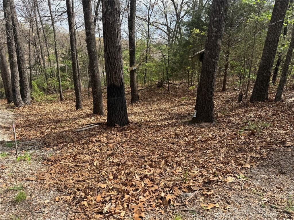 Property photo for land for sale in Taney County Missouri