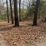 Property photo for land for sale in Taney County Missouri