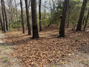 Property photo for land for sale in Taney County Missouri