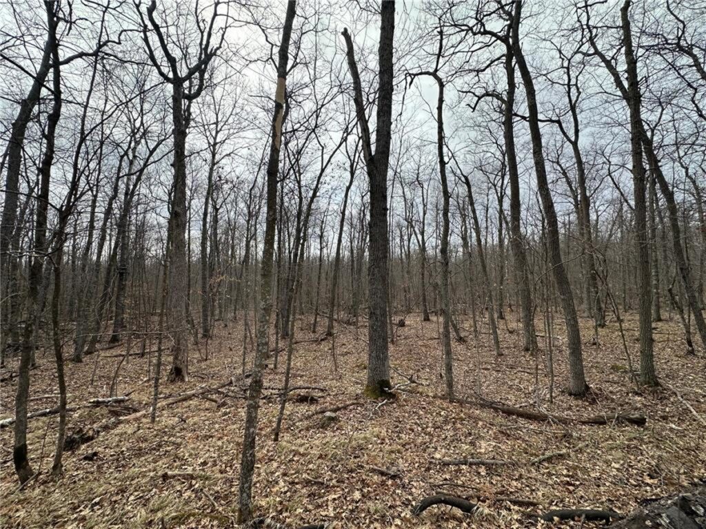Property photo for land for sale in Pine County Minnesota
