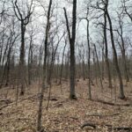 Property photo for land for sale in Pine County Minnesota
