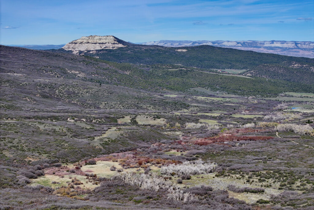 Property photo for land for sale in Mesa County Colorado