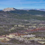Property photo for land for sale in Mesa County Colorado