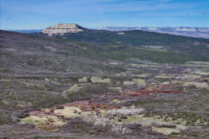 Property photo for land for sale in Mesa County Colorado