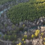 Property photo for land for sale in Pushmataha County Oklahoma