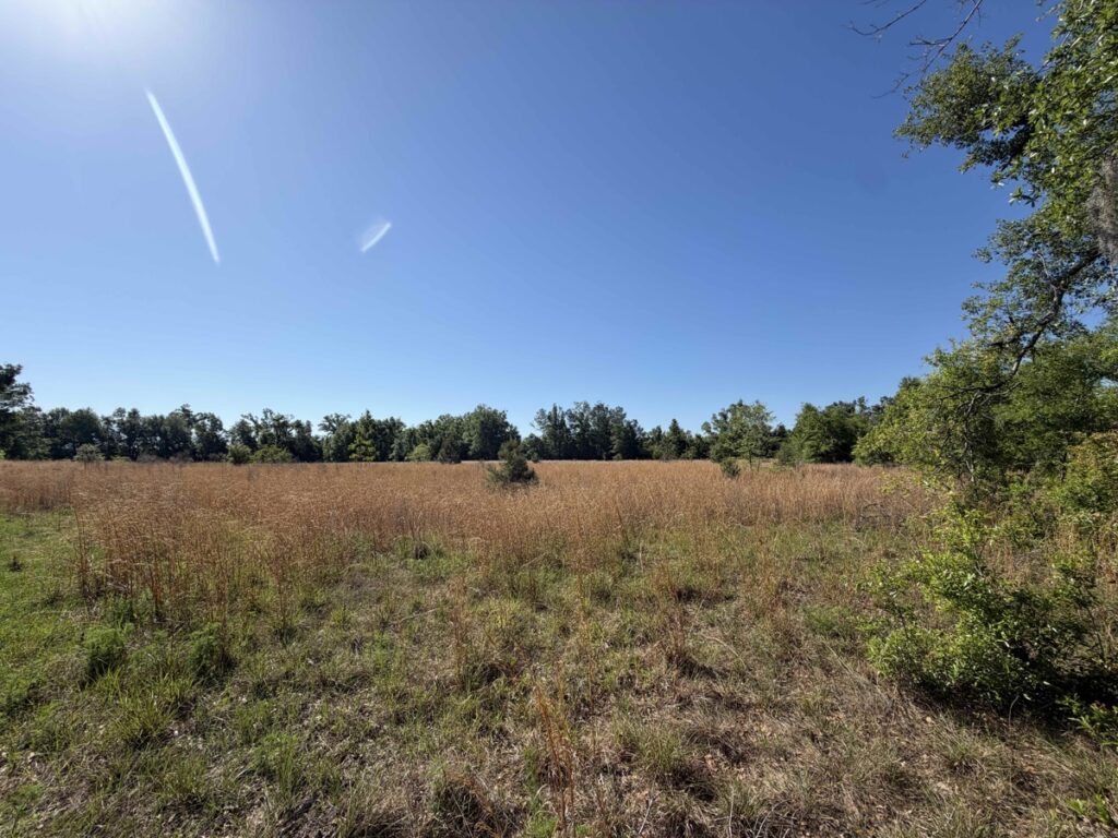 Property photo for land for sale in Suwannee County Florida