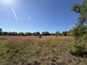 Property photo for land for sale in Suwannee County Florida
