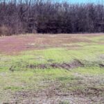 Property photo for land for sale in Harrison County Missouri