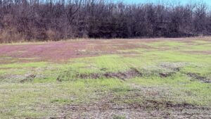Property photo for land for sale in Harrison County Missouri
